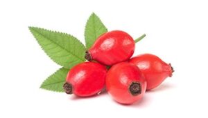 Csipkebogyó kivonat